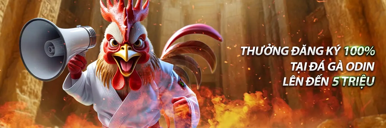 Tin tức mới nhất từ nhà cái CLB88